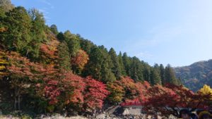 香嵐渓の風景