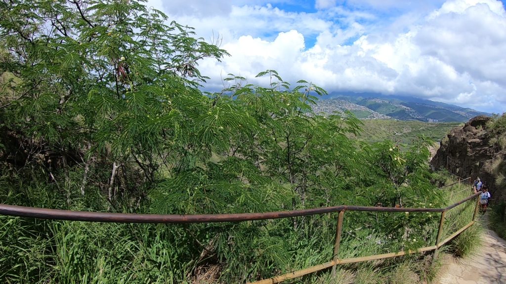 ダイヤモンドヘッド登山の途中の画像