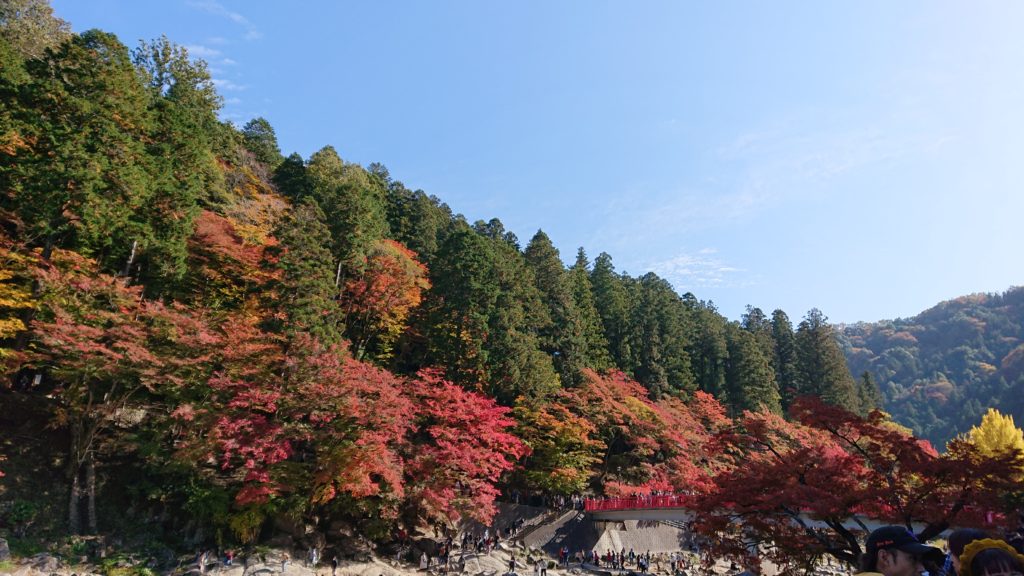 2019年【香嵐渓紅葉まつり】車がなくても大丈夫！「おいでんバス」で行ってきました