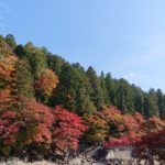 2019年【香嵐渓紅葉まつり】車がなくても大丈夫！「おいでんバス」で行ってきました